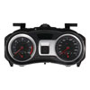 Revisione quadro strumenti Renault Clio III 2RPF-10A855-A
